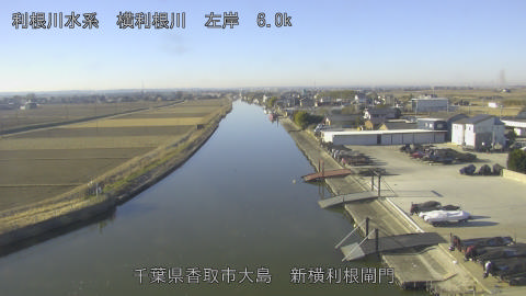 yoko2026012409_image