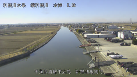 yoko2026012410_image