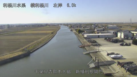 yoko2026012411_image