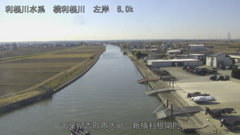 yoko2026012412_image