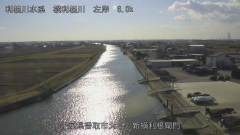 yoko2026012414_image