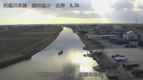 yoko2026012415_image