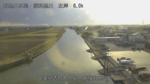 yoko2026012416_image