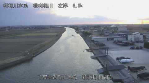 yoko2026012417_image