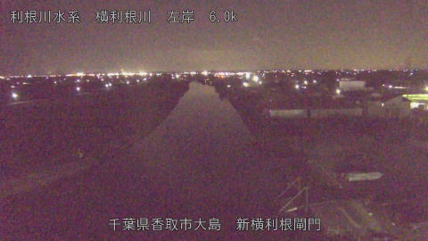 yoko2026012419_image