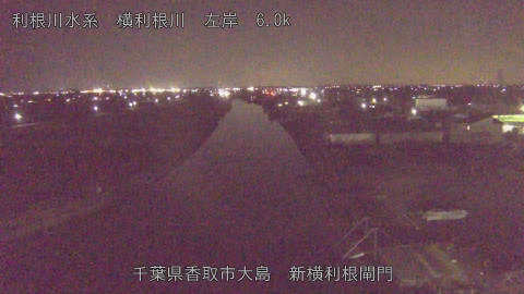 yoko2026012420_image