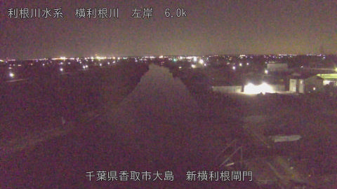 yoko2026012421_image