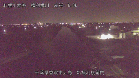 yoko2026012500_image