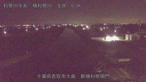 yoko2026012502_image