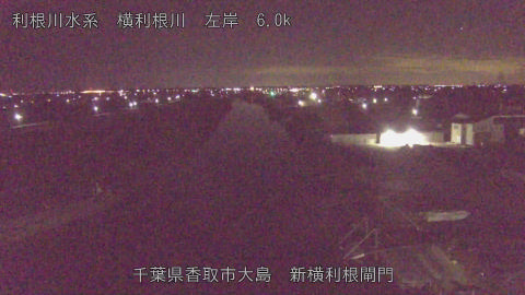 yoko2026012503_image