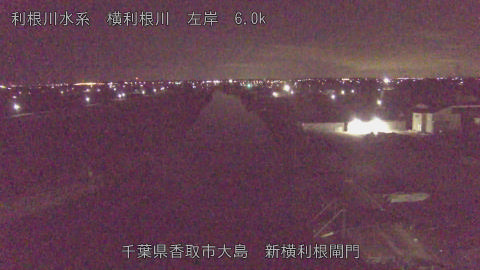 yoko2026012504_image