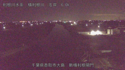 yoko2026012505_image