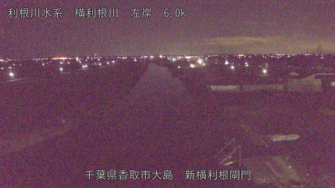 yoko2026012506_image