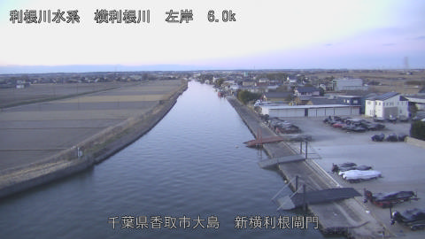 yoko2026012507_image