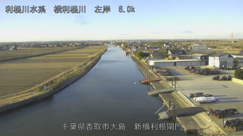 yoko2026012508_image