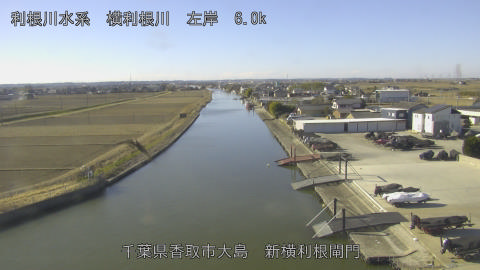 yoko2026012510_image