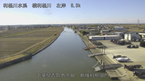 yoko2026012511_image