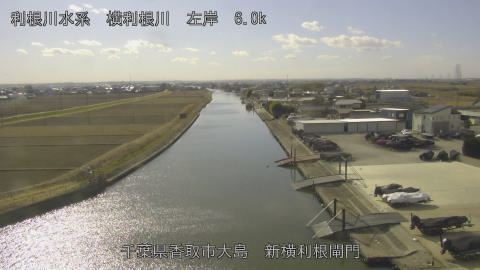 yoko2026012513_image