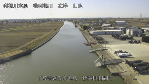 yoko2026012612_image