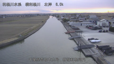 yoko2026012617_image