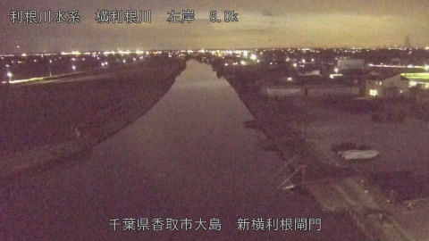 yoko2026012618_image