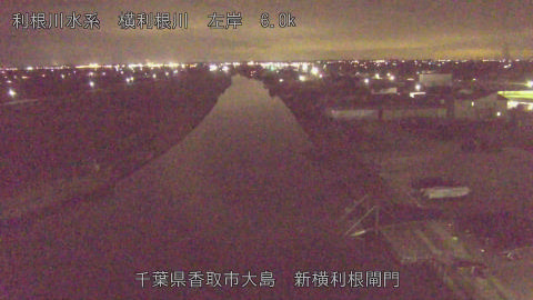 yoko2026012619_image