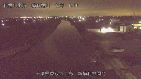 yoko2026012621_image