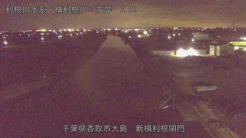 yoko2026012622_image