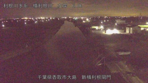 yoko2026012623_image