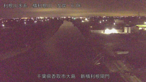 yoko2026012700_image