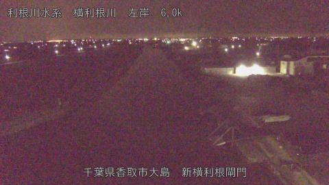 yoko2026012702_image