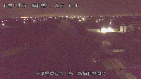 yoko2026012703_image