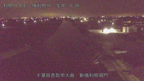 yoko2026012704_image