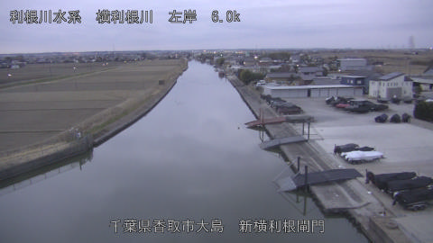 yoko2026012707_image