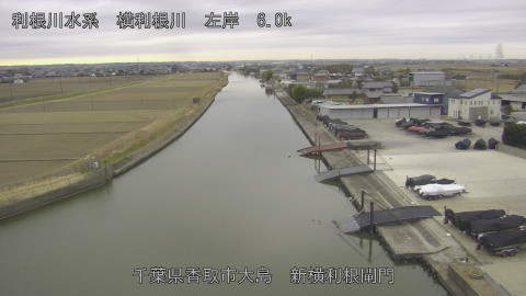 yoko2026012708_image