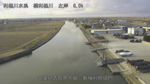 yoko2026012709_image