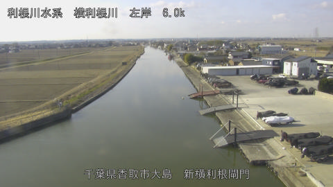 yoko2026012710_image