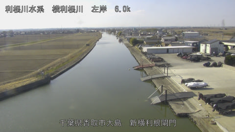 yoko2026012711_image