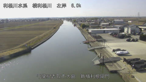 yoko2026012712_image