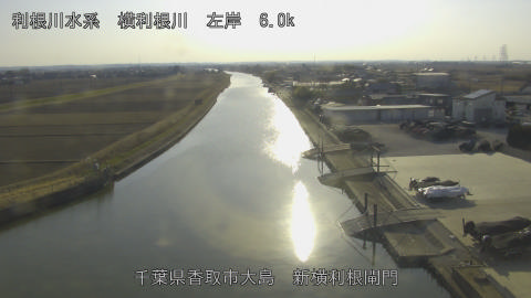 yoko2026012715_image