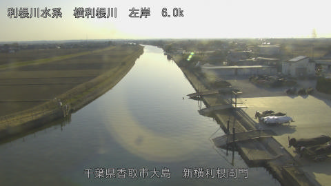 yoko2026012716_image