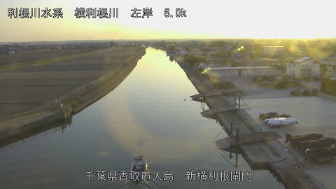 yoko2026012717_image