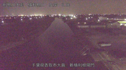 yoko2026012719_image