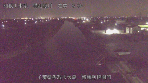 yoko2026012721_image