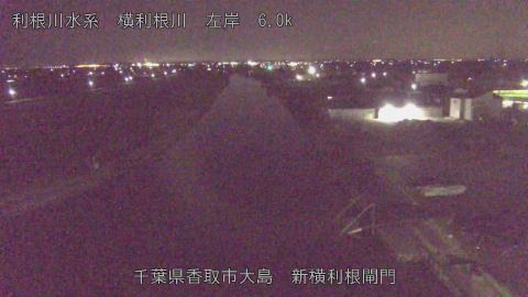 yoko2026012800_image