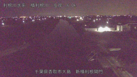 yoko2026012802_image