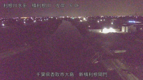 yoko2026012803_image