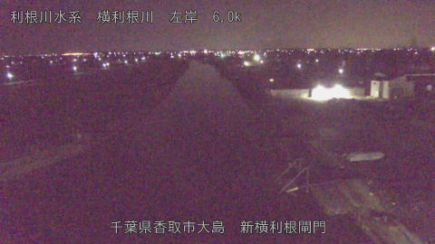 yoko2026012805_image