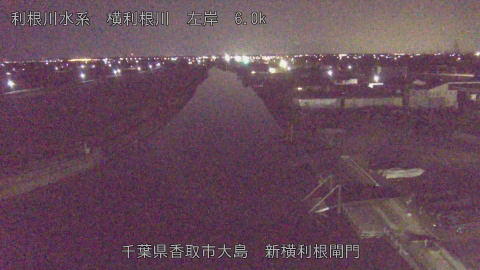 yoko2026012806_image