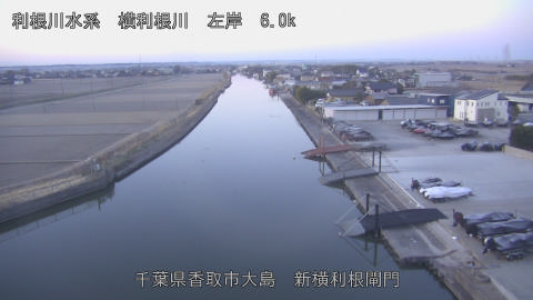 yoko2026012807_image